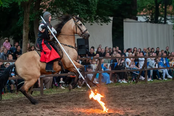 Rittertage Uffenheim 2023